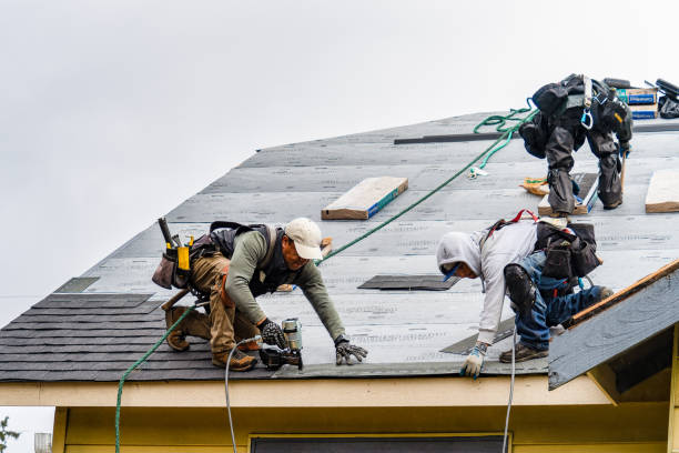 Professional Roofing technician working in Moultonborough, NH